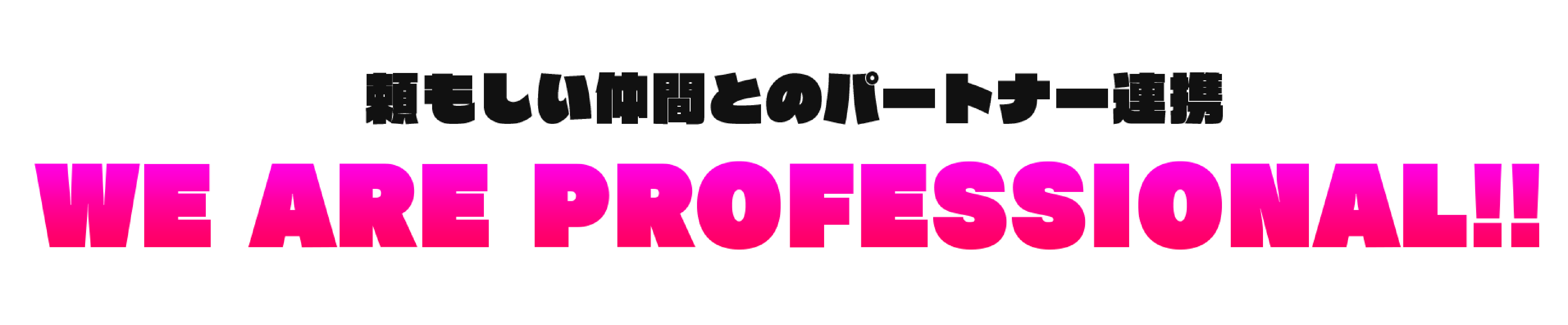 頼もしい仲間とのパートナー連携 WE ARE PROFESSIONAL!!